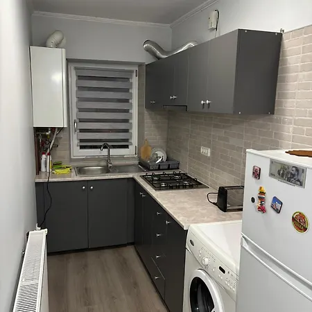 Apartment Garsoniera Rovine